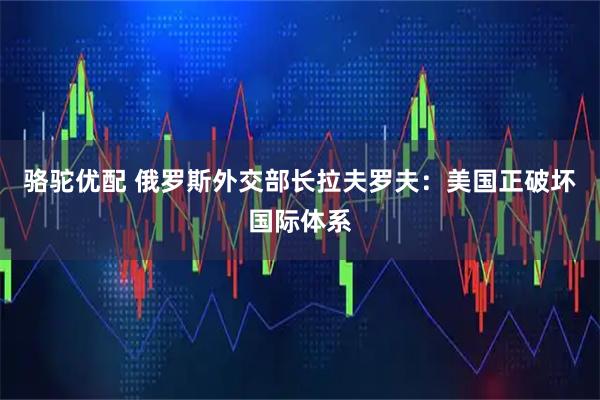 骆驼优配 俄罗斯外交部长拉夫罗夫：美国正破坏国际体系