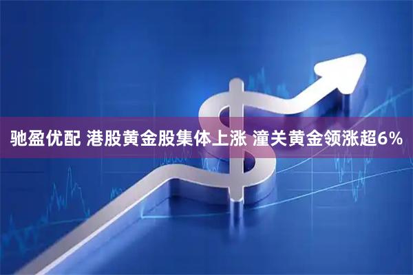 驰盈优配 港股黄金股集体上涨 潼关黄金领涨超6%