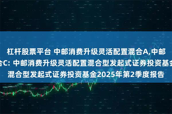 杠杆股票平台 中邮消费升级灵活配置混合A,中邮消费升级灵活配置混合C: 中邮消费升级灵活配置混合型发起式证券投资基金2025年第2季度报告