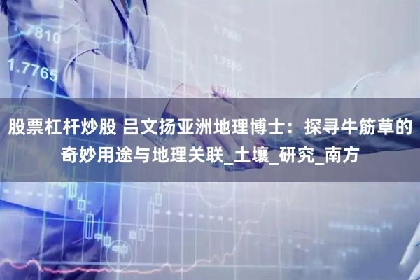 股票杠杆炒股 吕文扬亚洲地理博士：探寻牛筋草的奇妙用途与地理关联_土壤_研究_南方