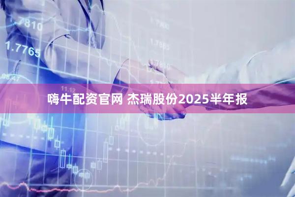 嗨牛配资官网 杰瑞股份2025半年报