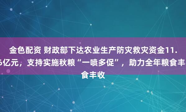 金色配资 财政部下达农业生产防灾救灾资金11.46亿元，支持实施秋粮“一喷多促”，助力全年粮食丰收